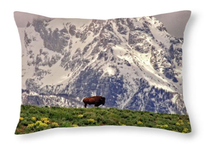 Spring Bison In Grand Teton National Park - Throw Pillow