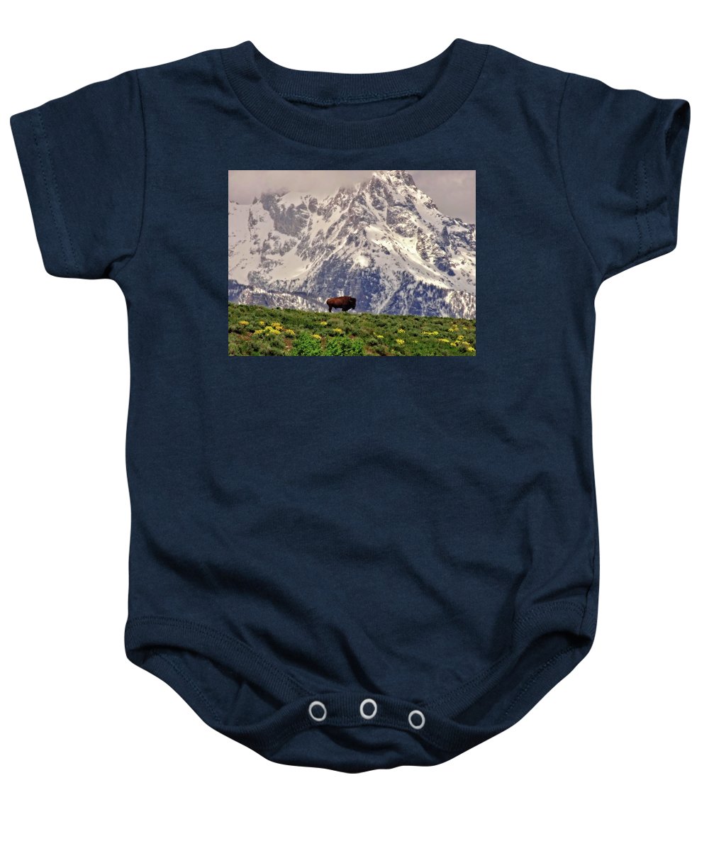 Spring Bison In Grand Teton National Park - Baby Onesie