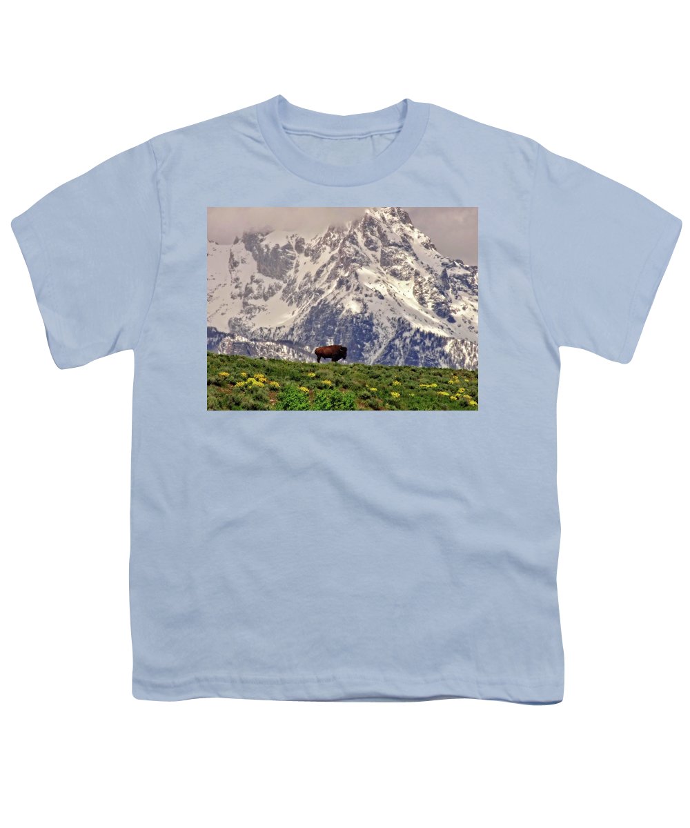 Spring Bison In Grand Teton National Park - Youth T-Shirt