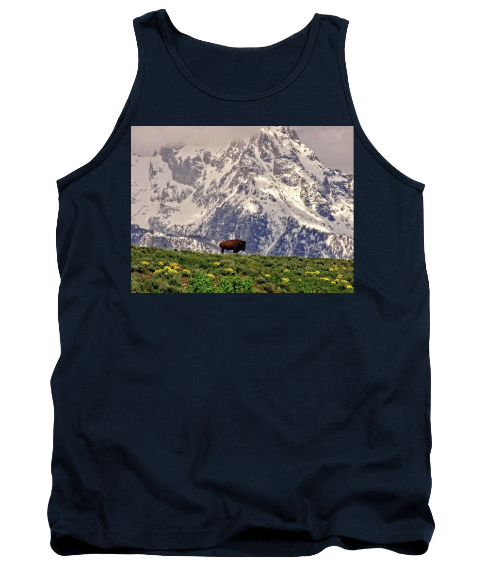 Spring Bison In Grand Teton National Park - Tank Top