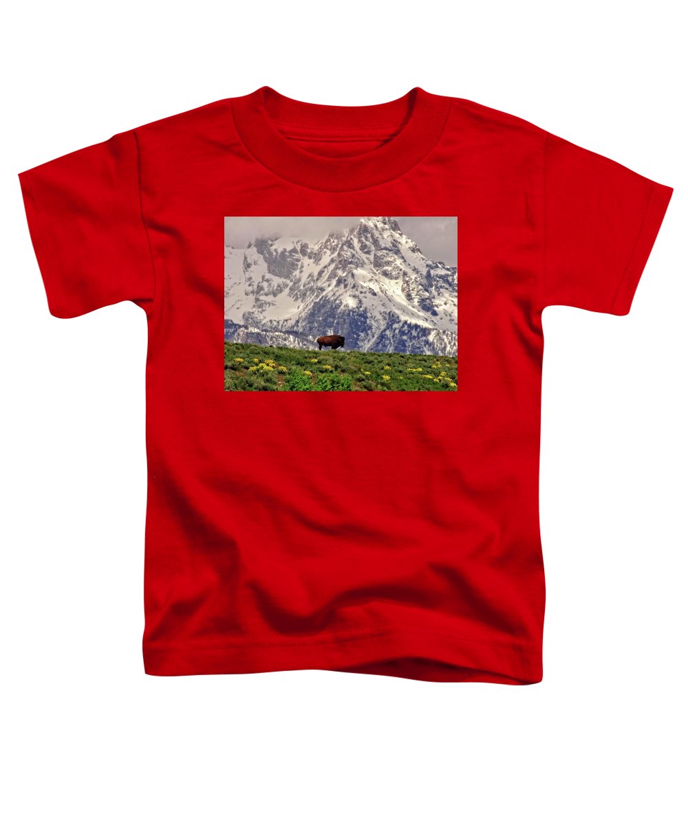 Spring Bison In Grand Teton National Park - Toddler T-Shirt