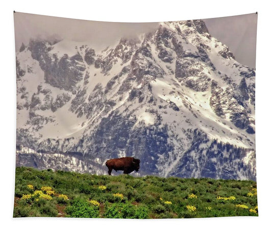 Spring Bison In Grand Teton National Park - Tapestry