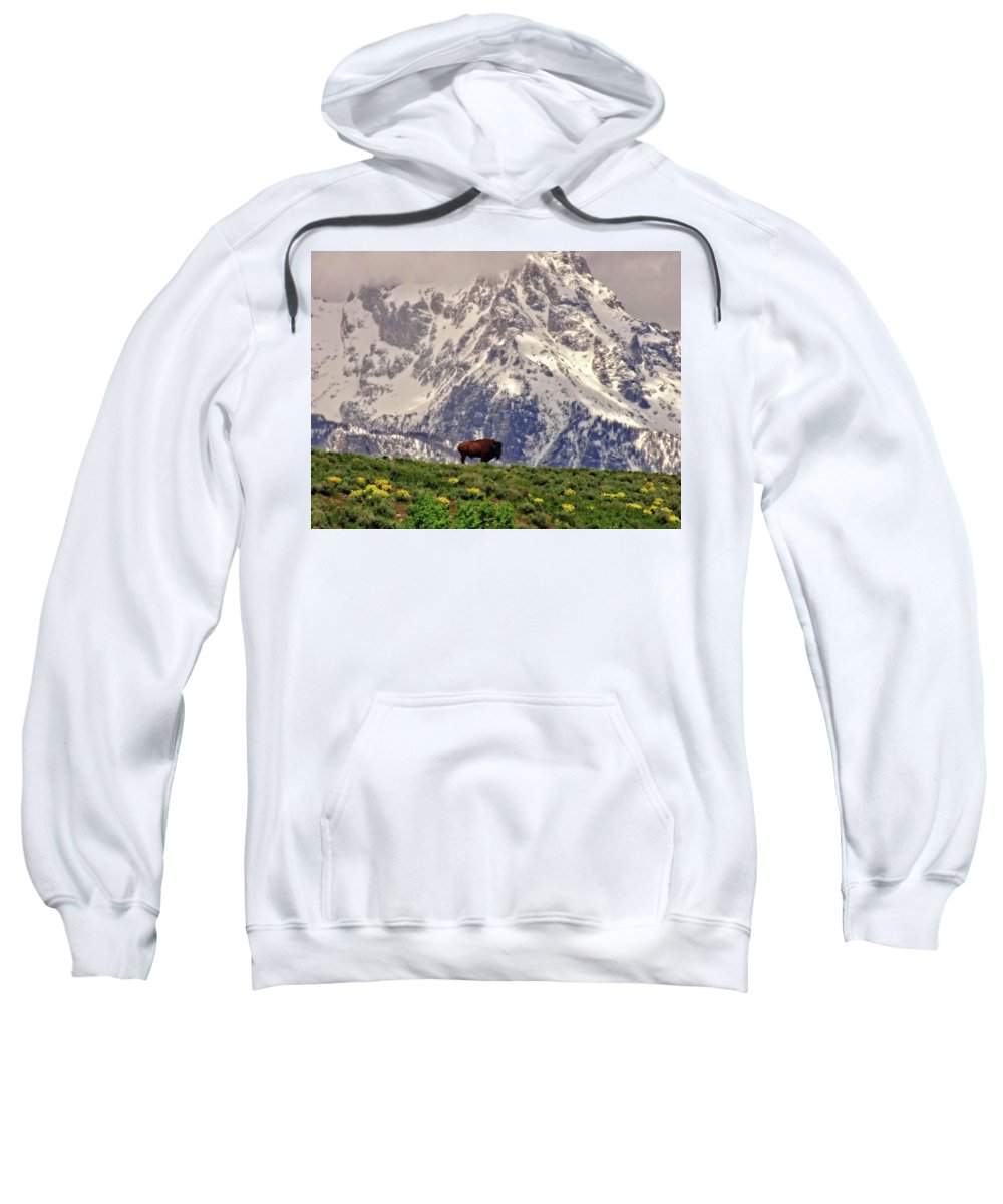 Spring Bison In Grand Teton National Park - Sweatshirt