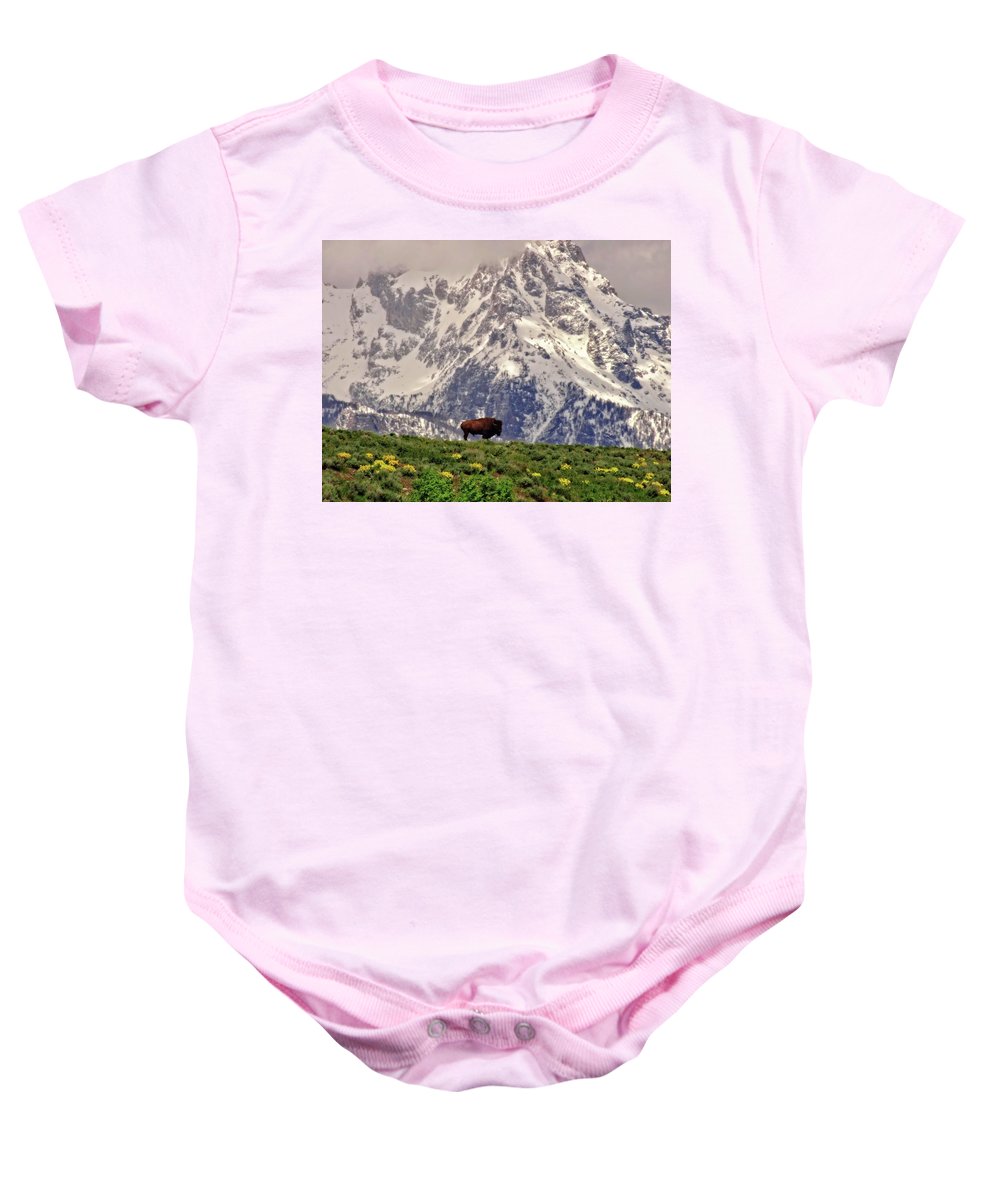 Spring Bison In Grand Teton National Park - Baby Onesie