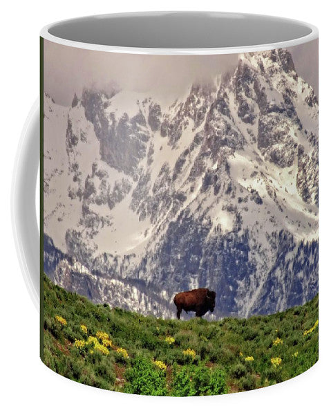 Spring Bison In Grand Teton National Park - Mug