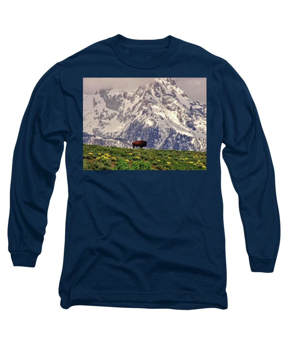 Spring Bison In Grand Teton National Park - Long Sleeve T-Shirt