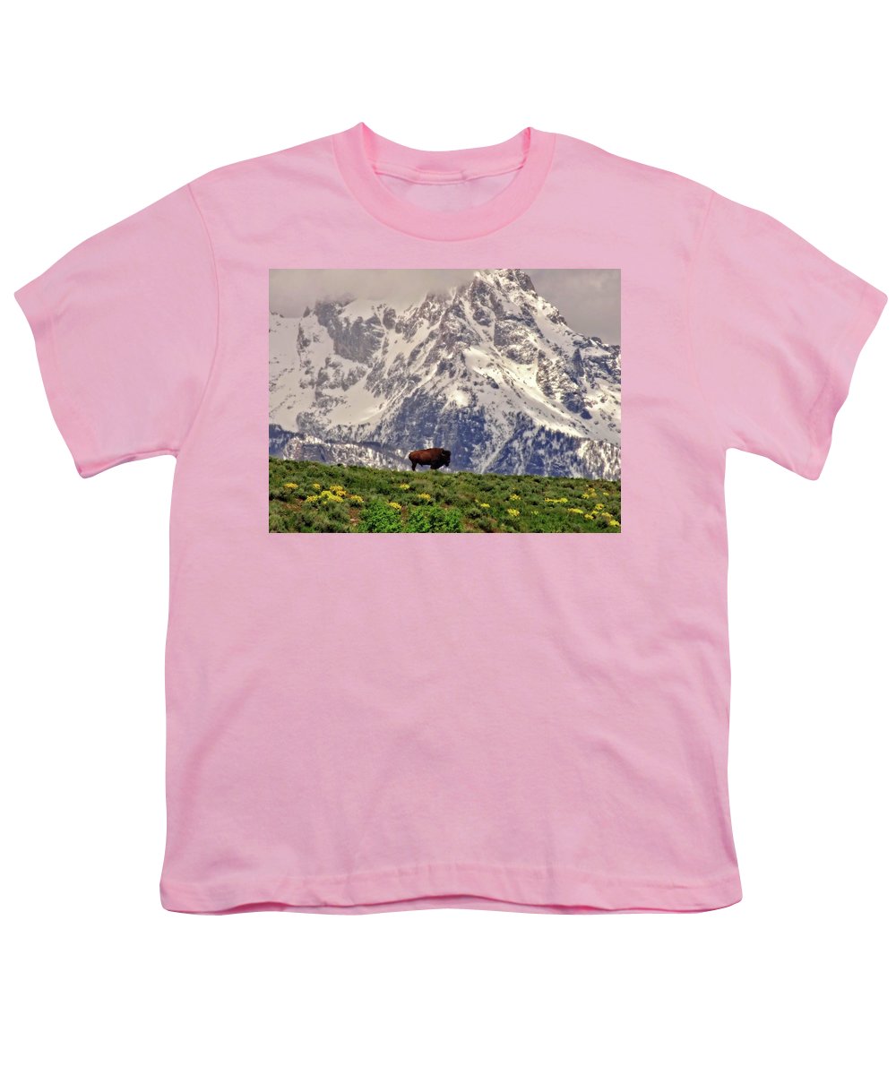 Spring Bison In Grand Teton National Park - Youth T-Shirt