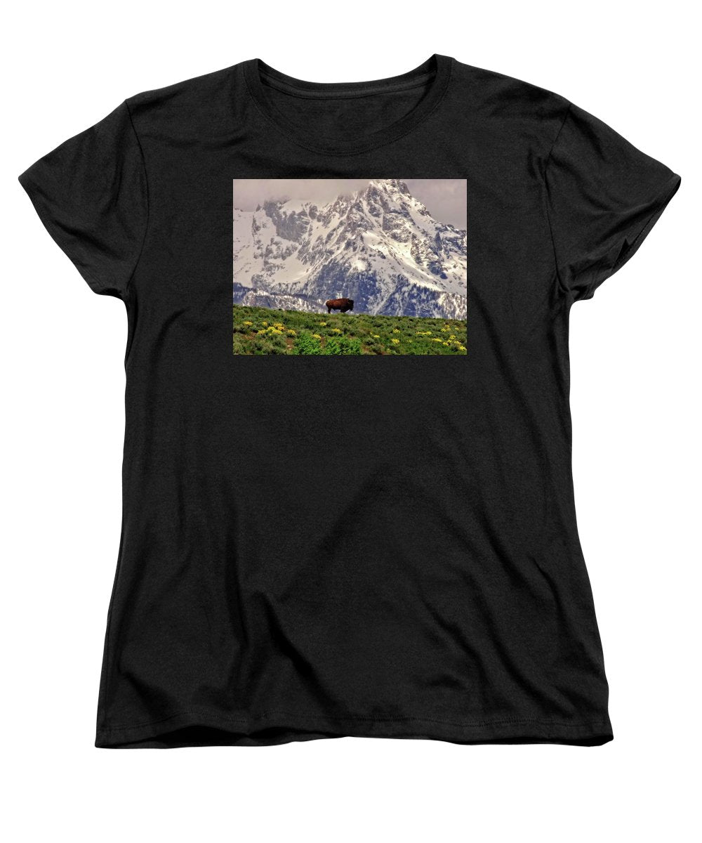 Spring Bison In Grand Teton National Park - Women's T-Shirt (Standard Fit)