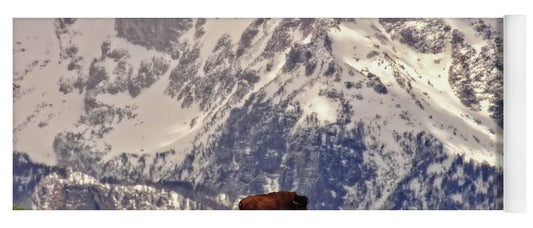 Spring Bison In Grand Teton National Park - Yoga Mat