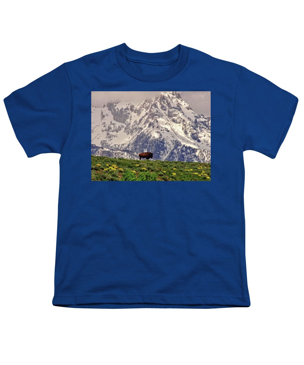 Spring Bison In Grand Teton National Park - Youth T-Shirt