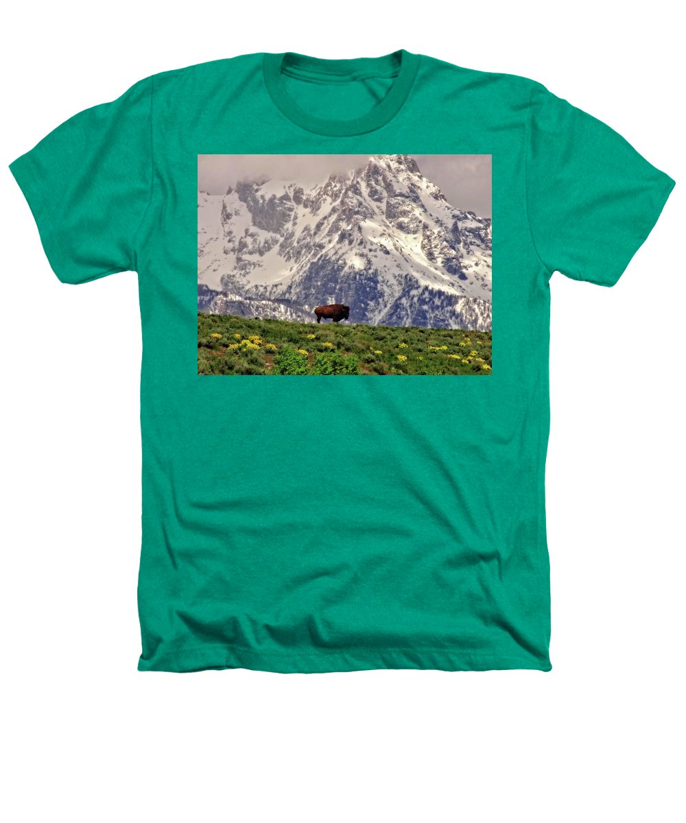 Spring Bison In Grand Teton National Park - Heathers T-Shirt