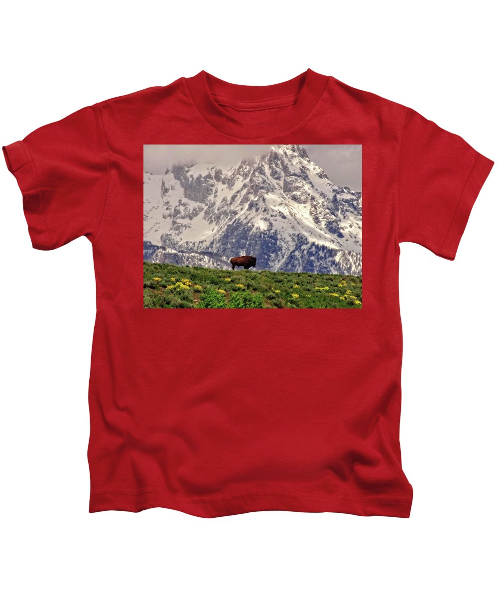 Spring Bison In Grand Teton National Park - Kids T-Shirt