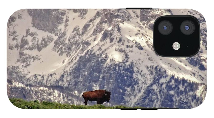 Spring Bison In Grand Teton National Park - Phone Case