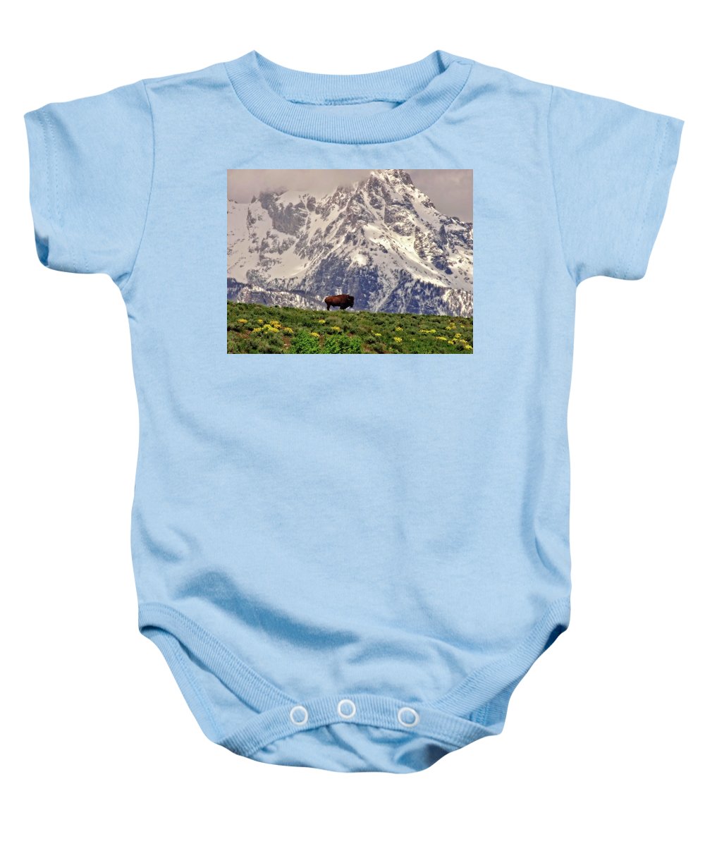 Spring Bison In Grand Teton National Park - Baby Onesie