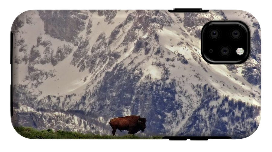 Spring Bison In Grand Teton National Park - Phone Case