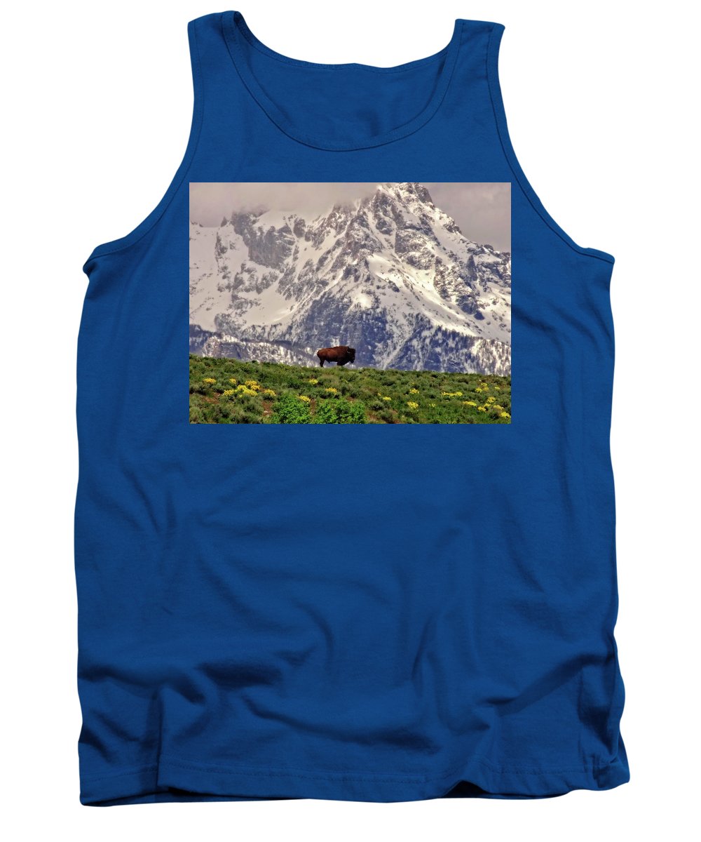 Spring Bison In Grand Teton National Park - Tank Top