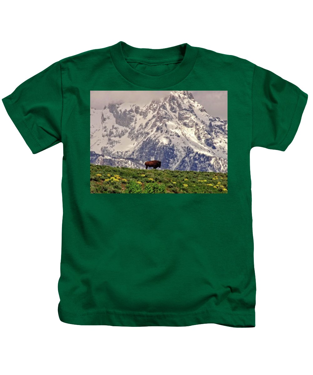 Spring Bison In Grand Teton National Park - Kids T-Shirt