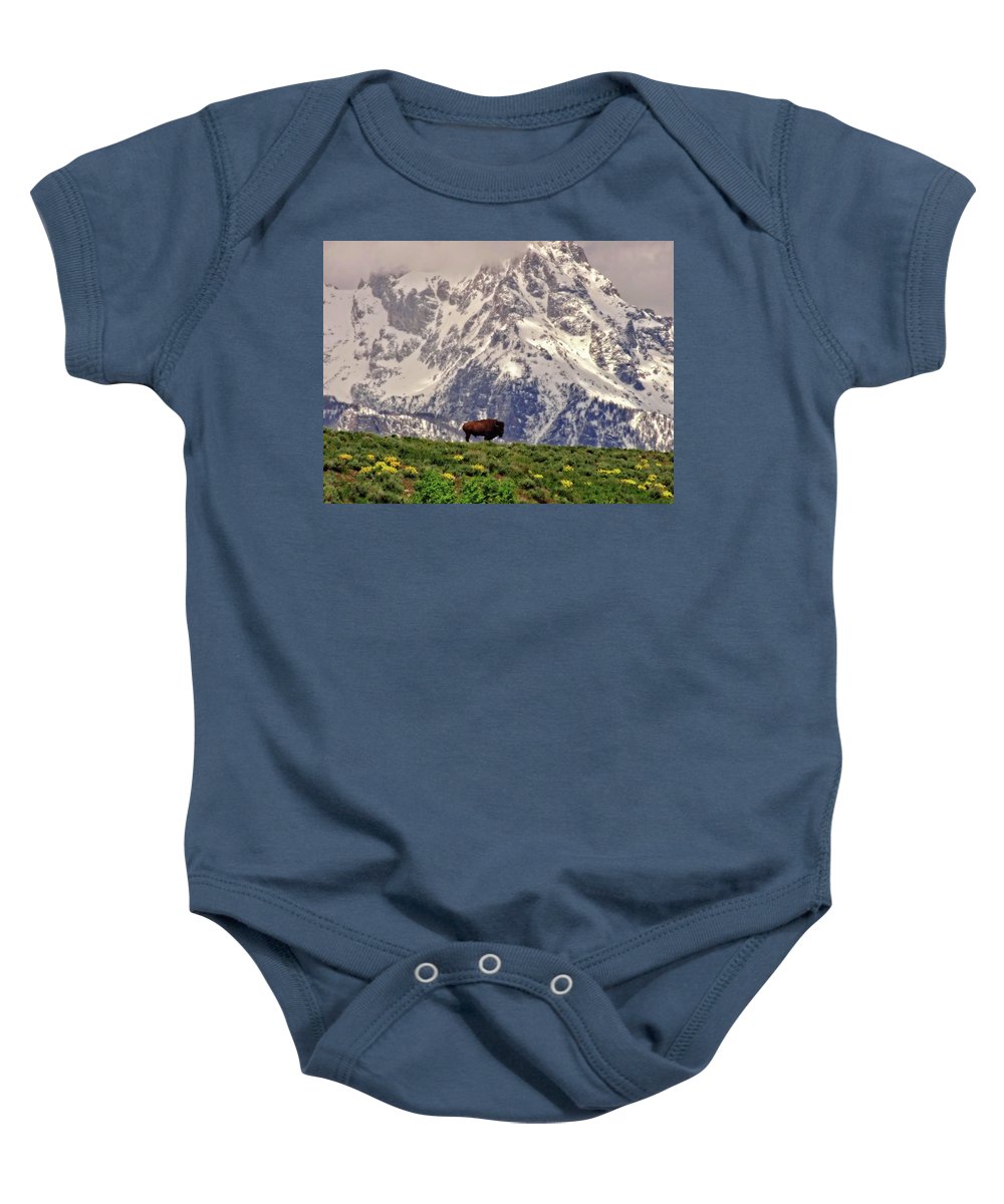 Spring Bison In Grand Teton National Park - Baby Onesie