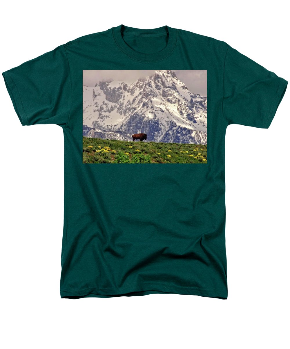 Spring Bison In Grand Teton National Park - Men's T-Shirt  (Regular Fit)