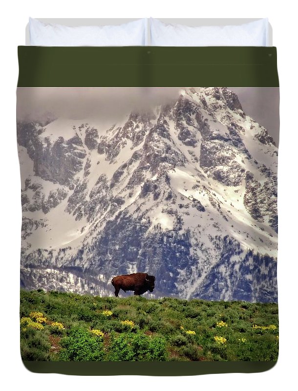 Spring Bison In Grand Teton National Park - Duvet Cover