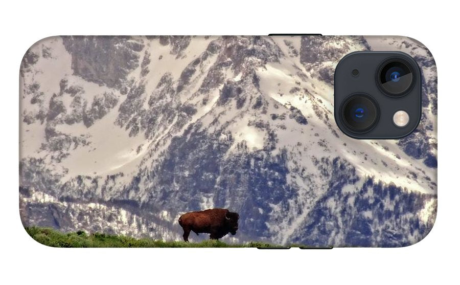 Spring Bison In Grand Teton National Park - Phone Case