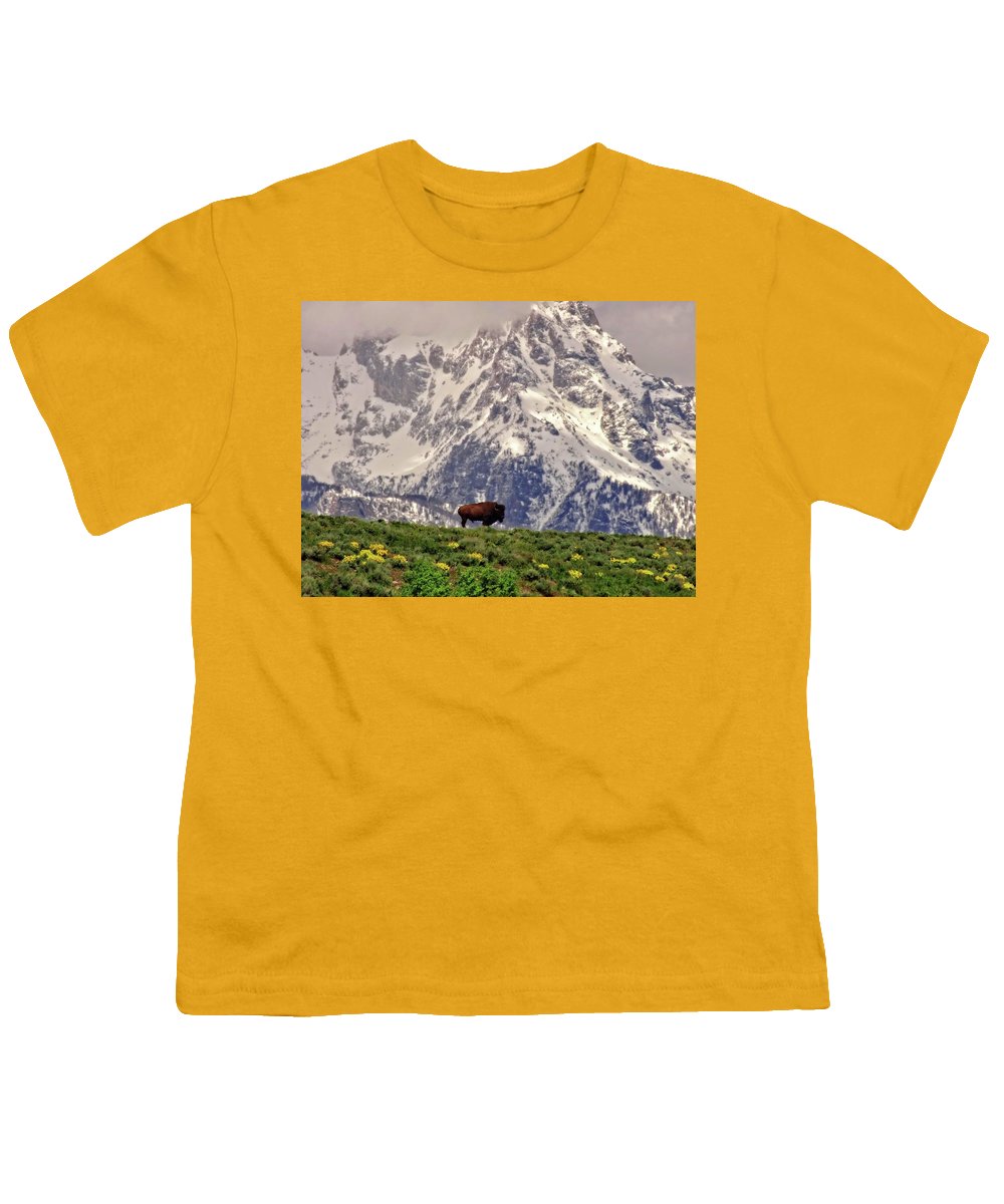 Spring Bison In Grand Teton National Park - Youth T-Shirt