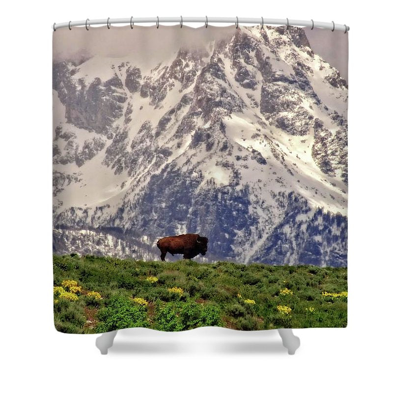 Spring Bison In Grand Teton National Park - Shower Curtain