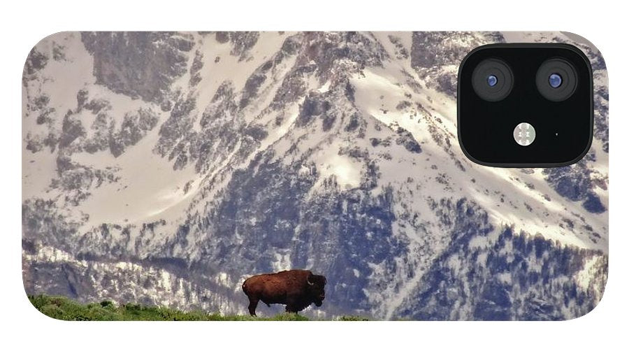 Spring Bison In Grand Teton National Park - Phone Case