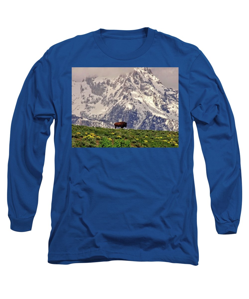 Spring Bison In Grand Teton National Park - Long Sleeve T-Shirt