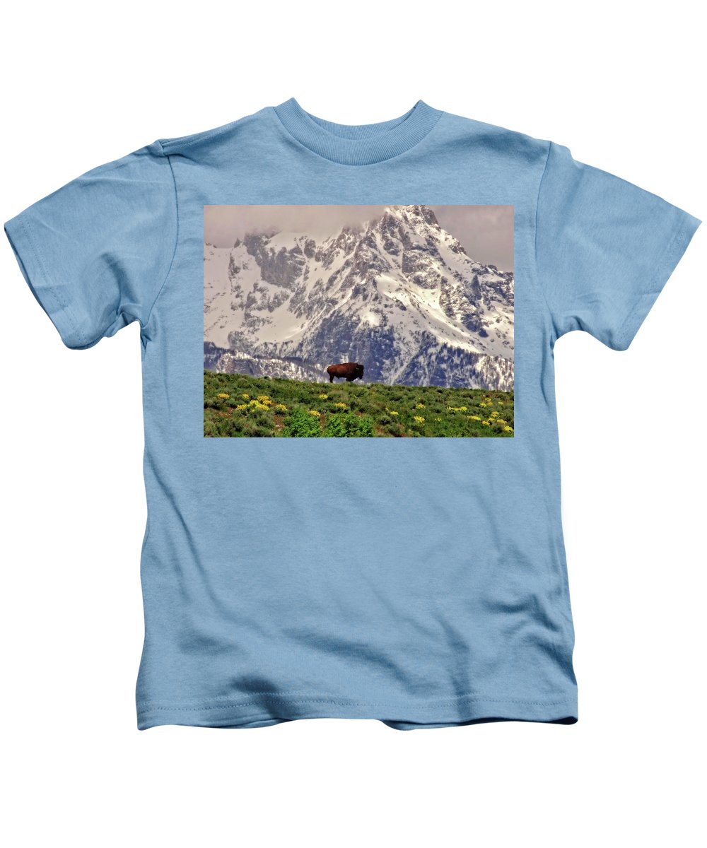 Spring Bison In Grand Teton National Park - Kids T-Shirt