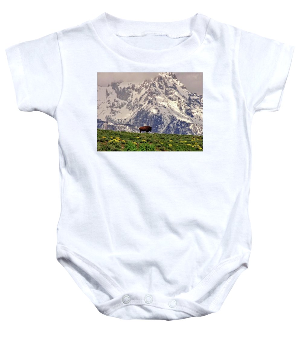 Spring Bison In Grand Teton National Park - Baby Onesie