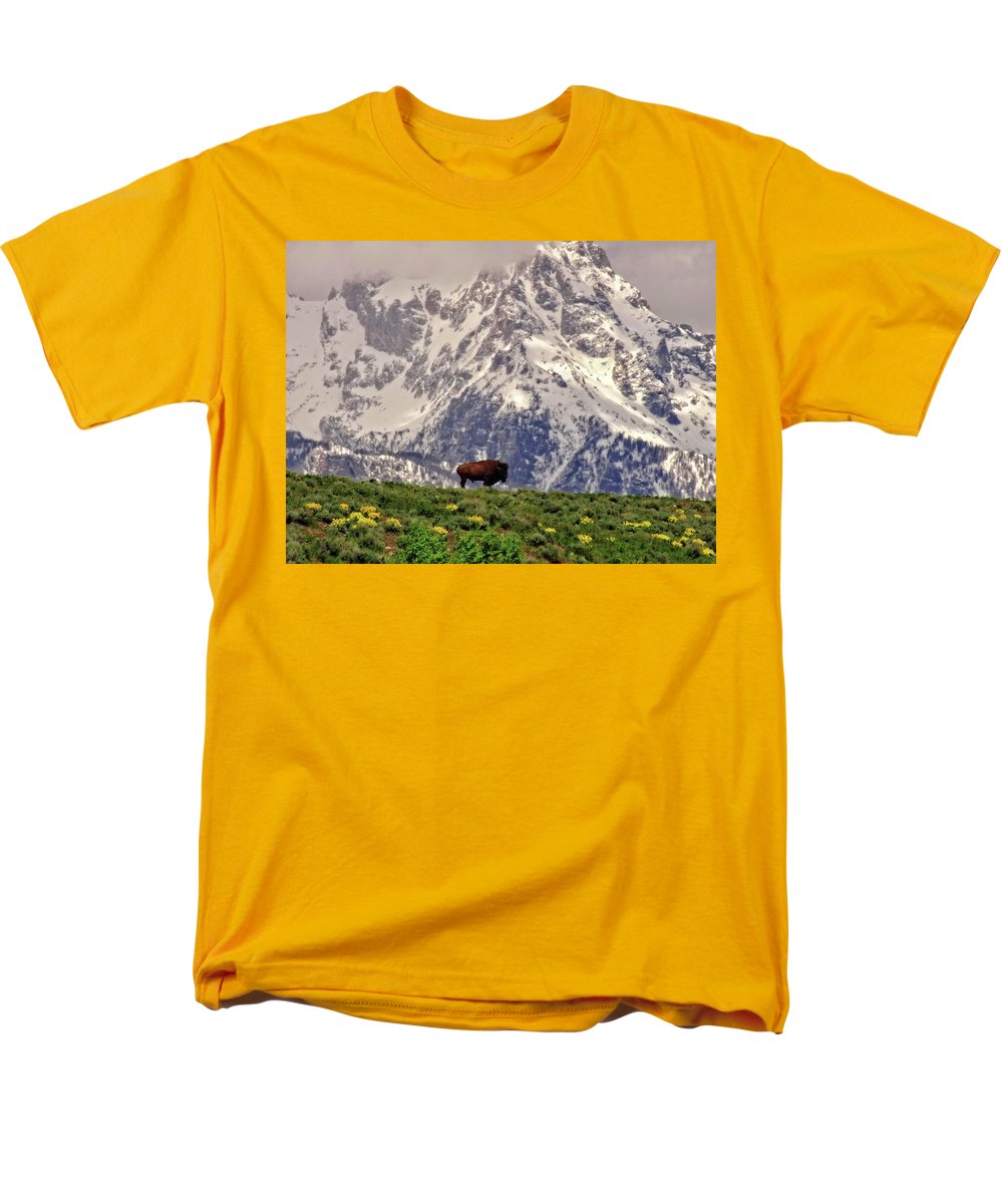 Spring Bison In Grand Teton National Park - Men's T-Shirt  (Regular Fit)