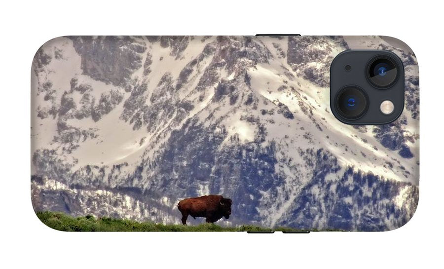 Spring Bison In Grand Teton National Park - Phone Case