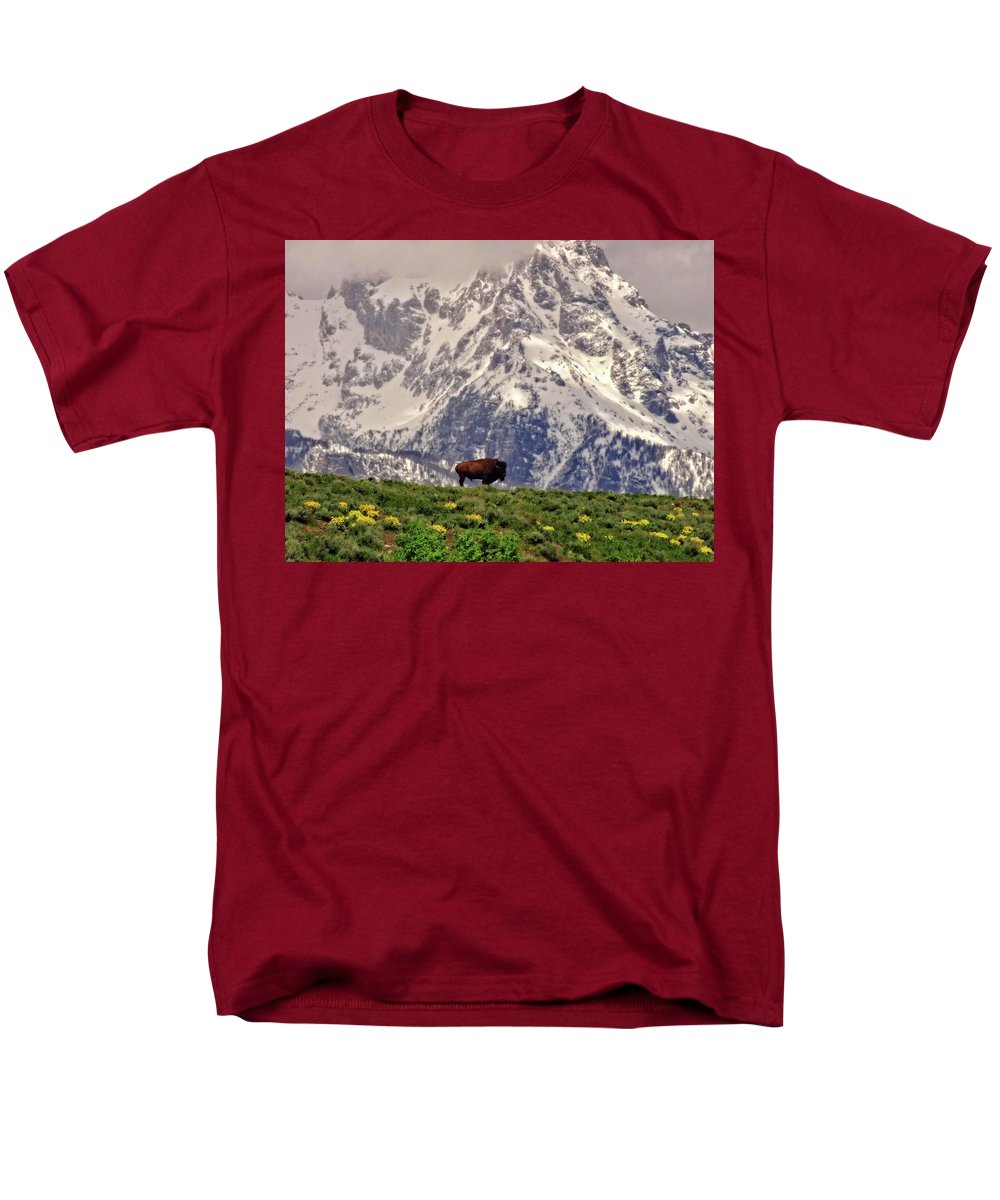 Spring Bison In Grand Teton National Park - Men's T-Shirt  (Regular Fit)