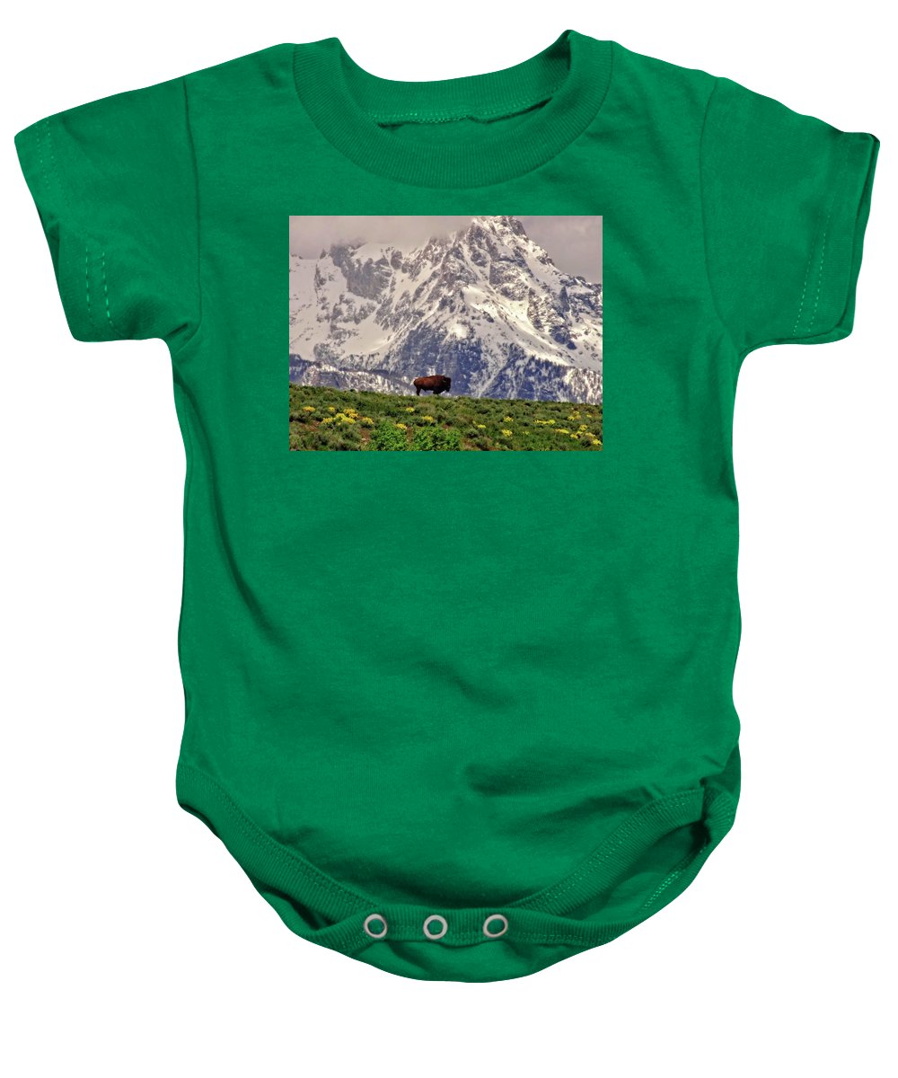 Spring Bison In Grand Teton National Park - Baby Onesie