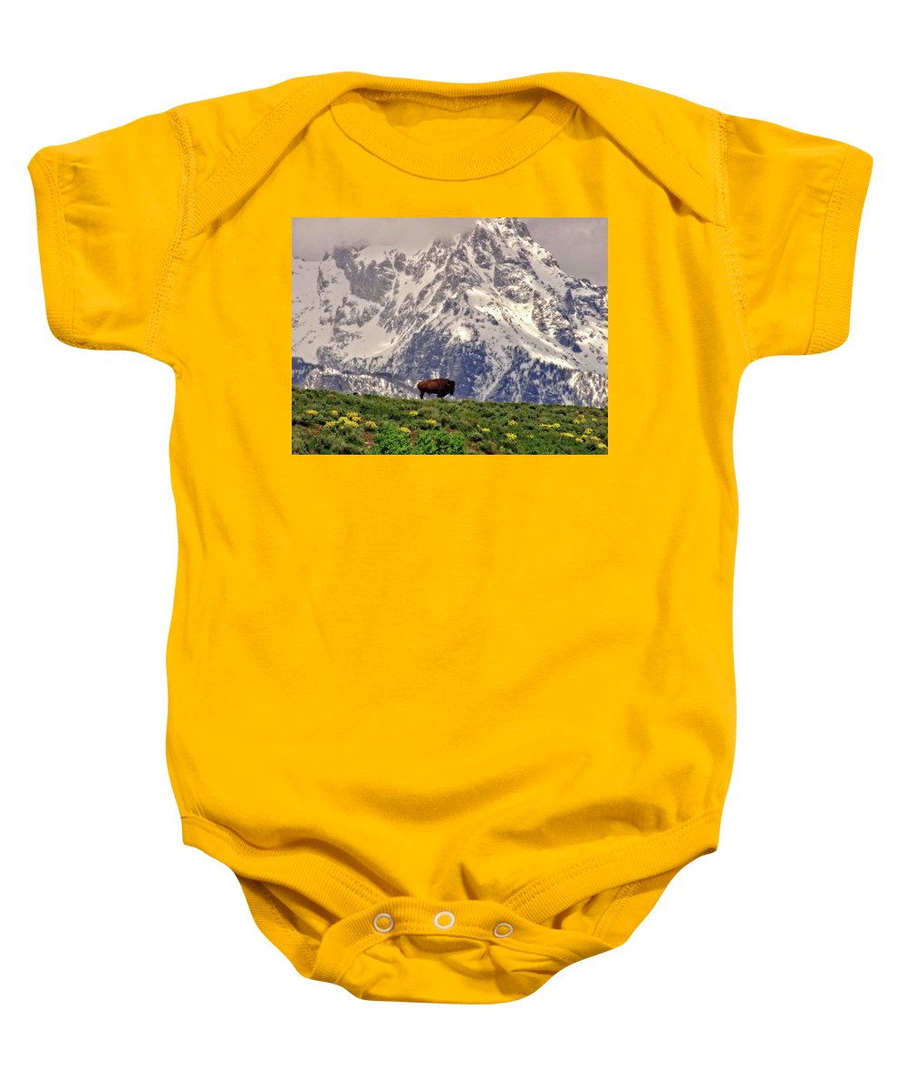 Spring Bison In Grand Teton National Park - Baby Onesie