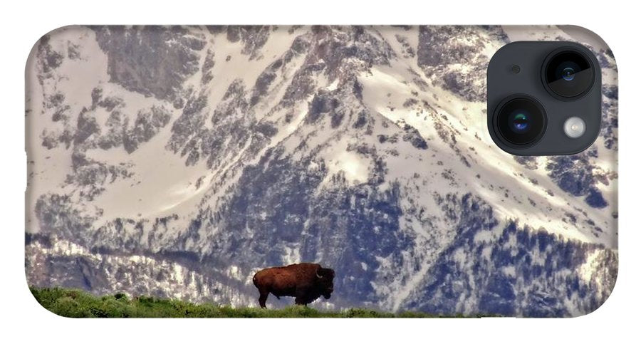 Spring Bison In Grand Teton National Park - Phone Case