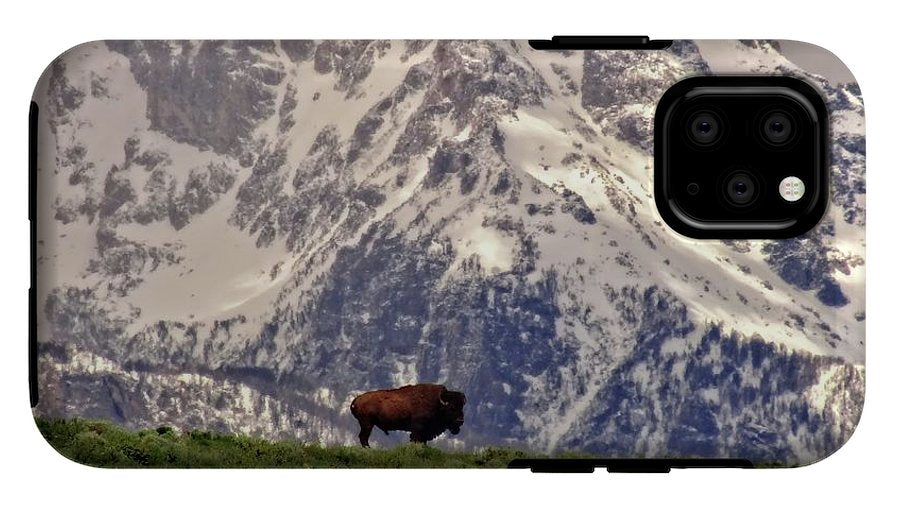 Spring Bison In Grand Teton National Park - Phone Case