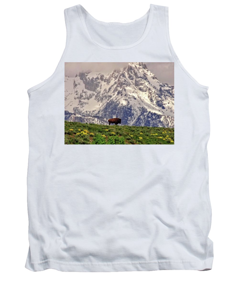 Spring Bison In Grand Teton National Park - Tank Top