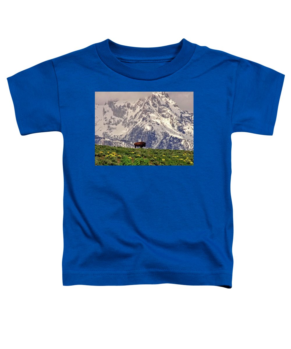 Spring Bison In Grand Teton National Park - Toddler T-Shirt