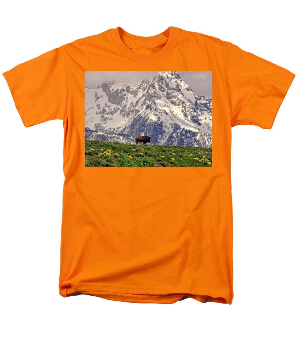 Spring Bison In Grand Teton National Park - Men's T-Shirt  (Regular Fit)