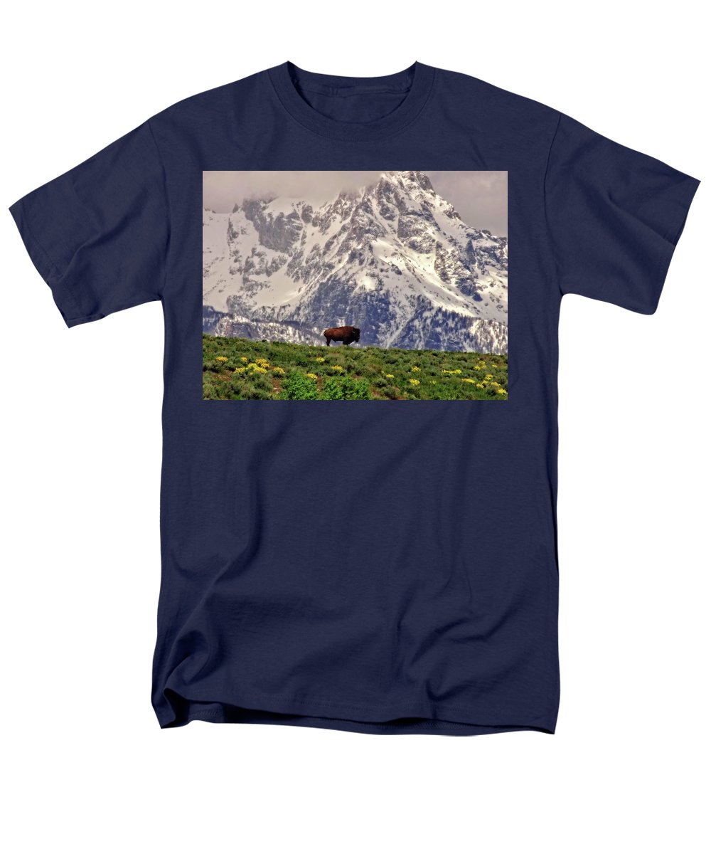 Spring Bison In Grand Teton National Park - Men's T-Shirt  (Regular Fit)