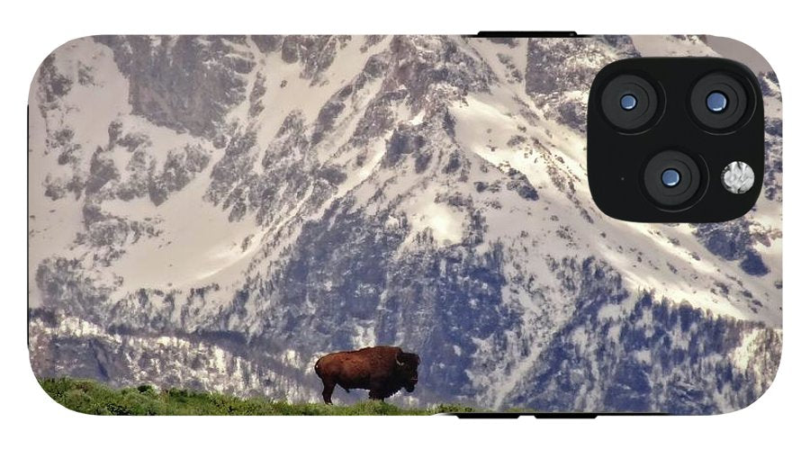 Spring Bison In Grand Teton National Park - Phone Case