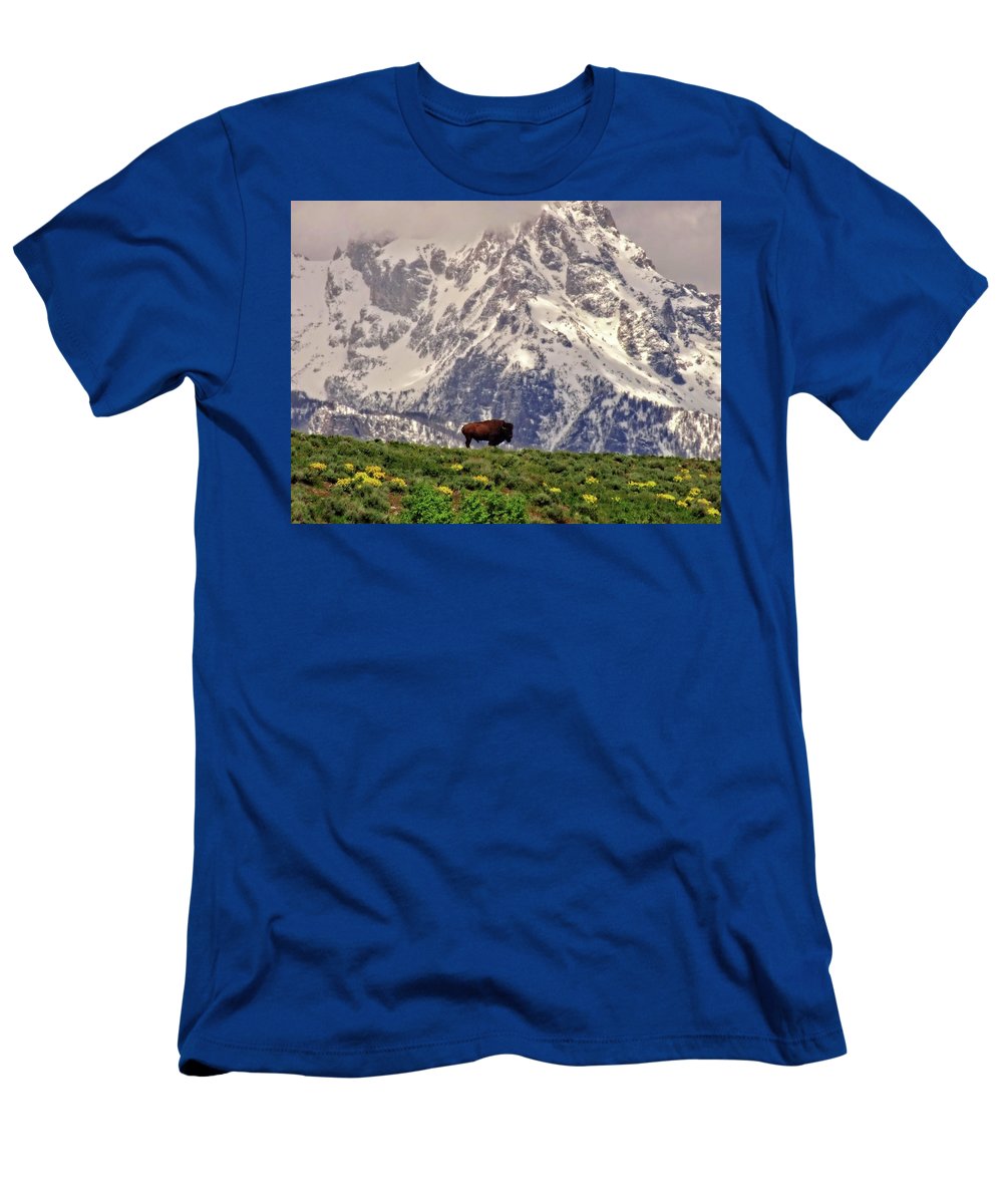 Spring Bison In Grand Teton National Park - T-Shirt