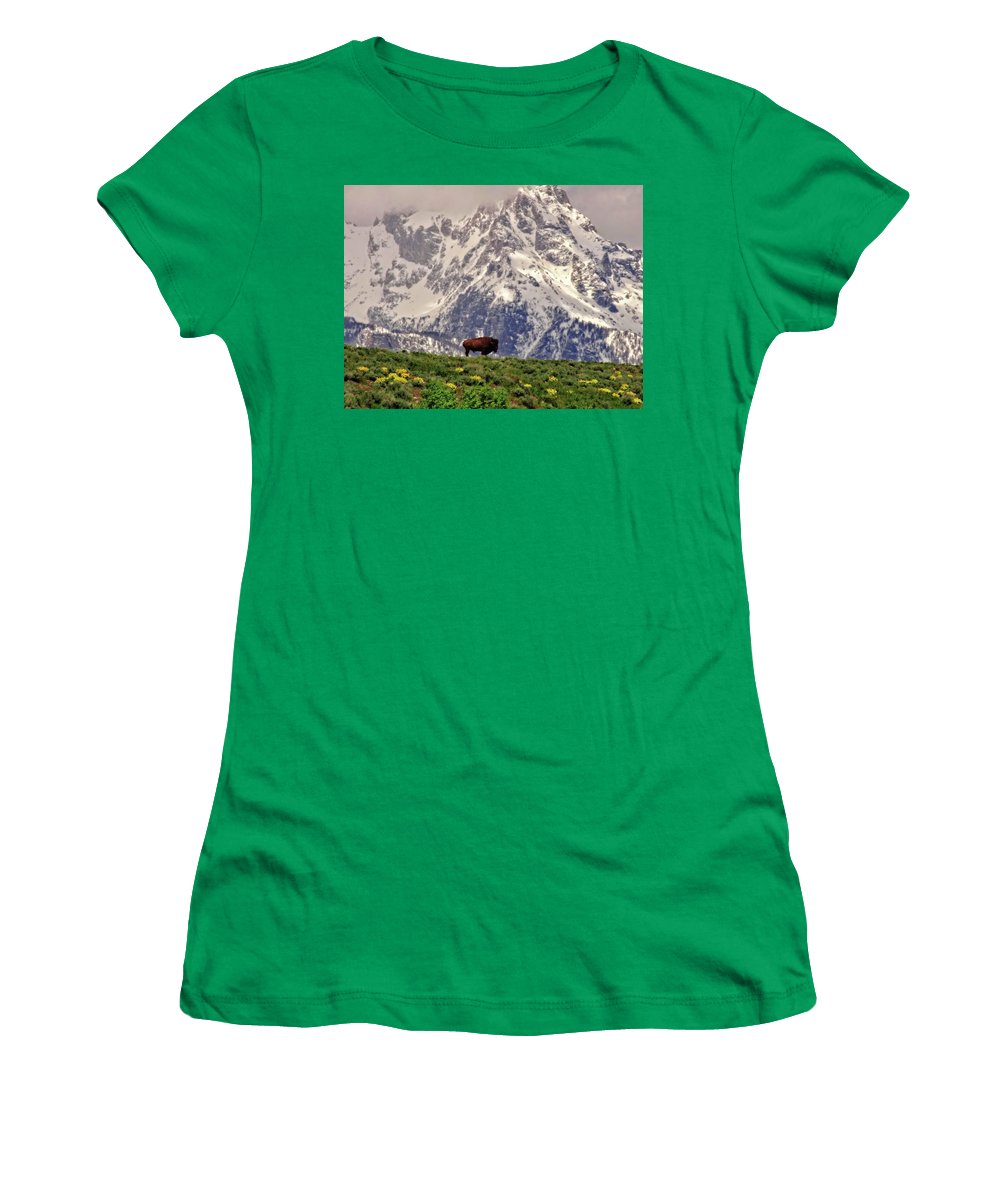 Spring Bison In Grand Teton National Park - Women's T-Shirt