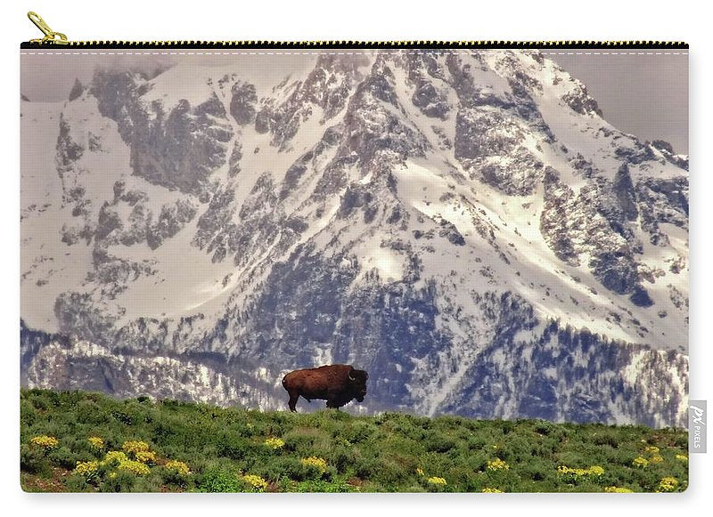 Spring Bison In Grand Teton National Park - Zip Pouch