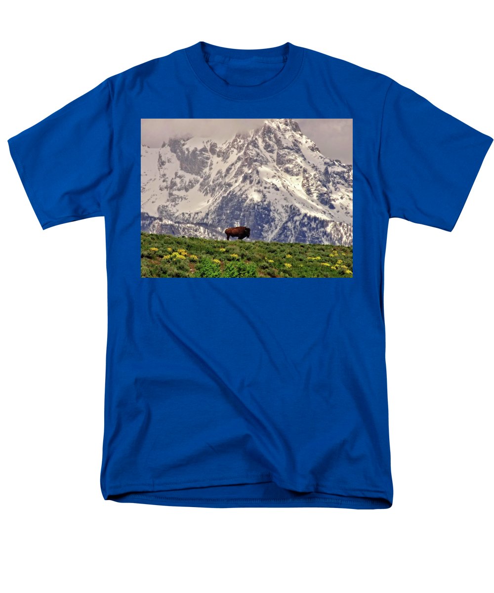 Spring Bison In Grand Teton National Park - Men's T-Shirt  (Regular Fit)