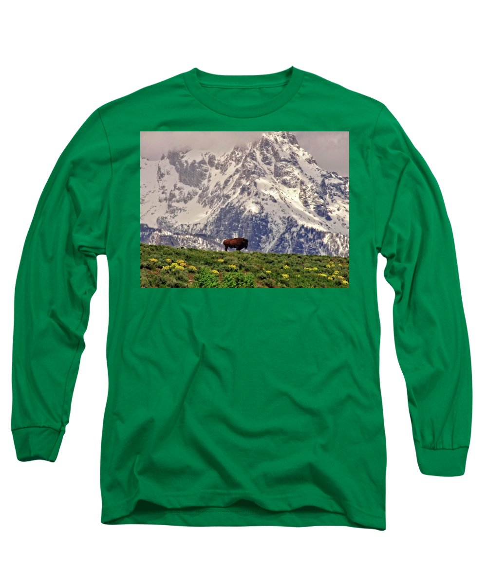 Spring Bison In Grand Teton National Park - Long Sleeve T-Shirt