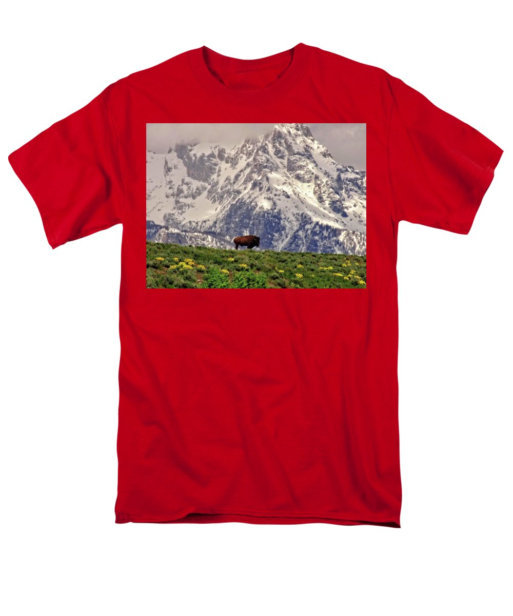 Spring Bison In Grand Teton National Park - Men's T-Shirt  (Regular Fit)