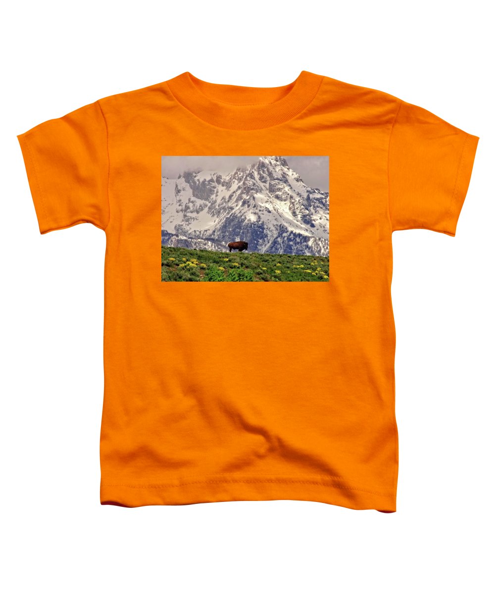 Spring Bison In Grand Teton National Park - Toddler T-Shirt